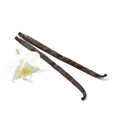 Vanilla